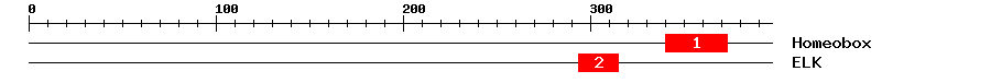 Signature Domain