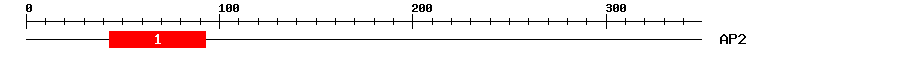 Signature Domain
