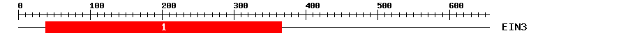 Signature Domain