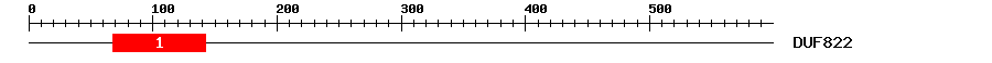 Signature Domain
