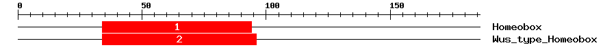 Signature Domain
