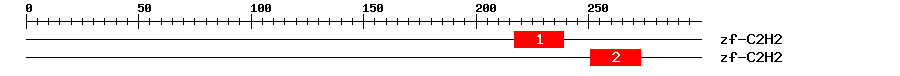 Signature Domain