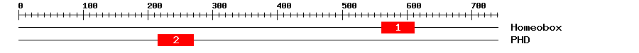 Signature Domain