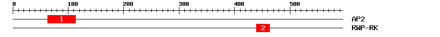 Signature Domain