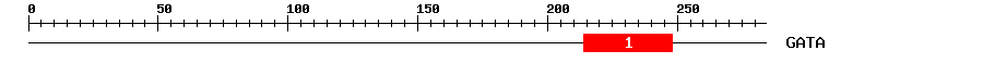 Signature Domain