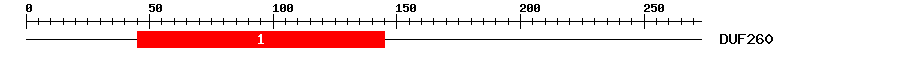 Signature Domain