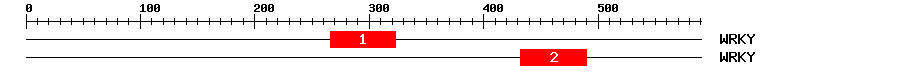 Signature Domain