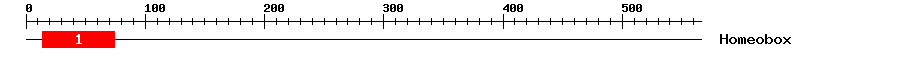 Signature Domain