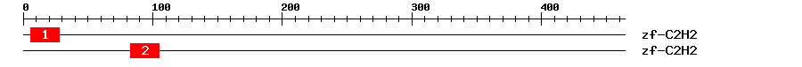 Signature Domain