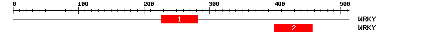 Signature Domain