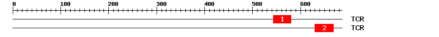 Signature Domain