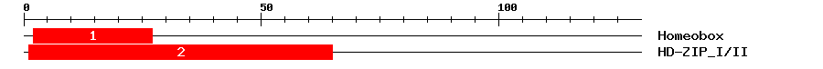 Signature Domain