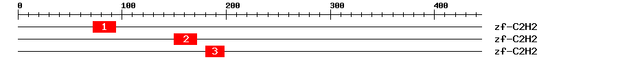 Signature Domain