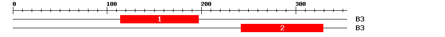 Signature Domain