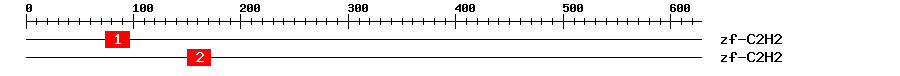 Signature Domain