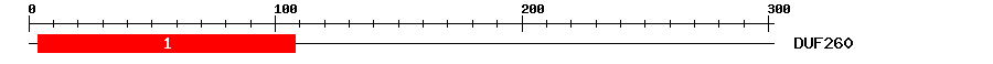 Signature Domain