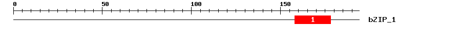 Signature Domain