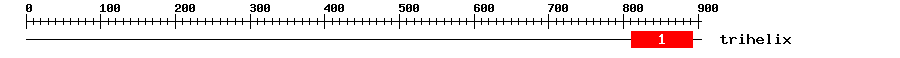 Signature Domain
