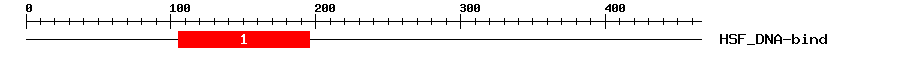 Signature Domain