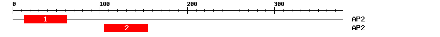 Signature Domain