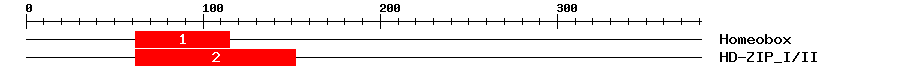 Signature Domain