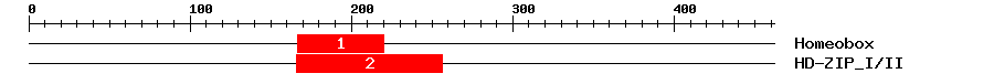 Signature Domain
