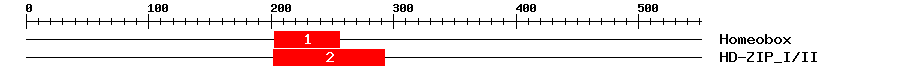 Signature Domain
