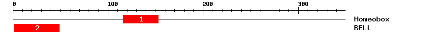 Signature Domain