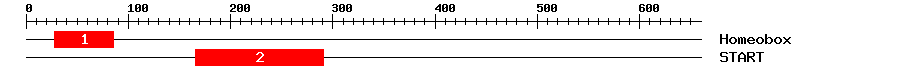 Signature Domain