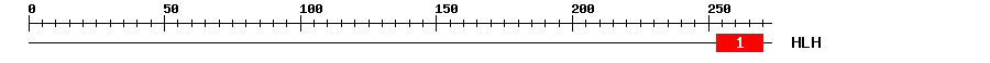 Signature Domain