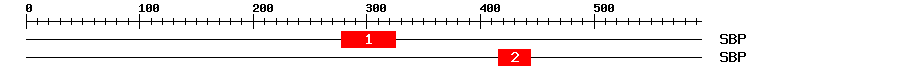 Signature Domain