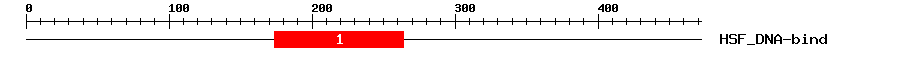 Signature Domain
