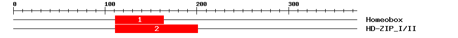 Signature Domain