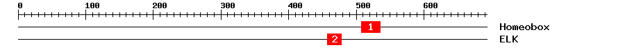 Signature Domain