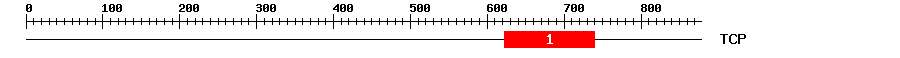 Signature Domain