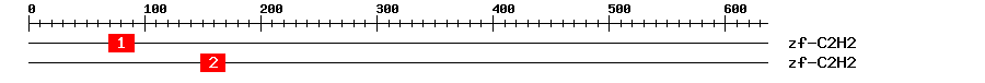 Signature Domain