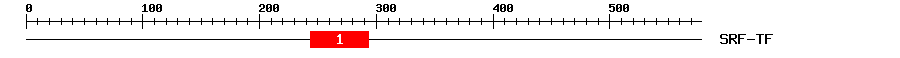 Signature Domain