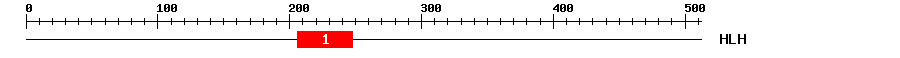 Signature Domain