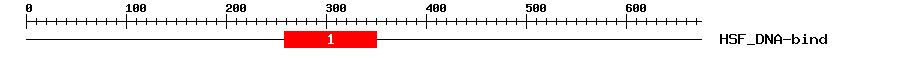 Signature Domain