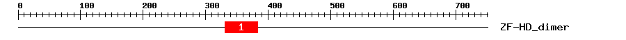 Signature Domain