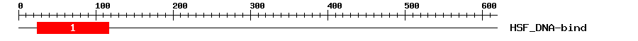 Signature Domain