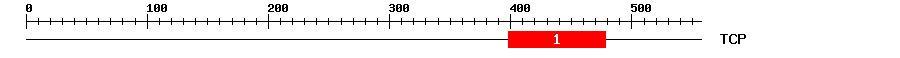 Signature Domain