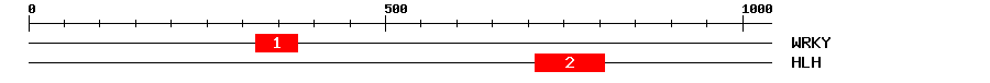 Signature Domain