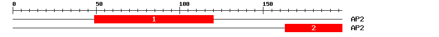 Signature Domain