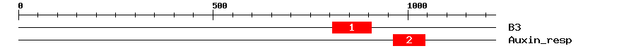 Signature Domain