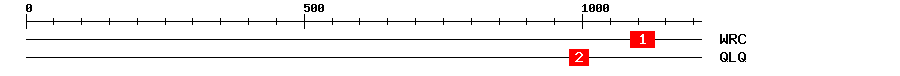 Signature Domain