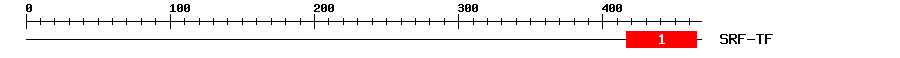 Signature Domain