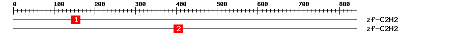 Signature Domain