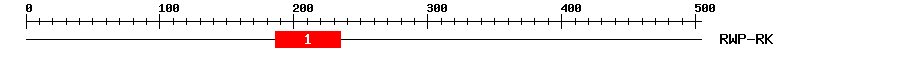Signature Domain
