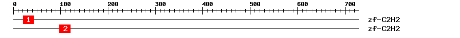 Signature Domain